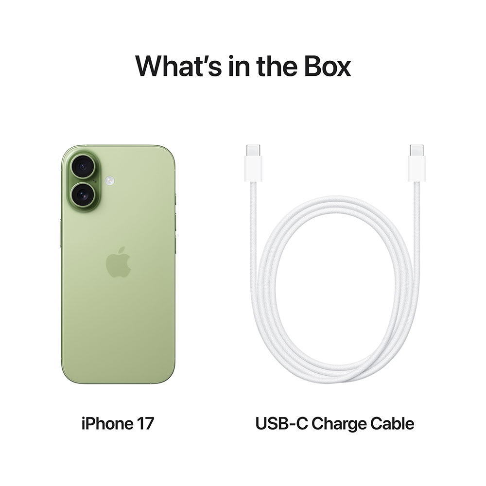 Заказать Смартфон APPLE iPhone 17 512GB Sage (MG6V4AF/A)