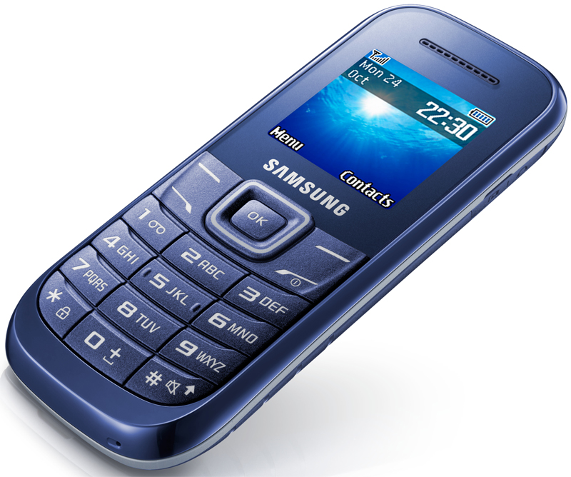 Фото 3 Мобільний телефон SAMSUNG GT-E1200 IBM (indigo blue)