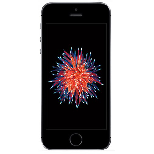 Смартфон APPLE iPhone SE 16Gb Space Gray (ZKMLL)