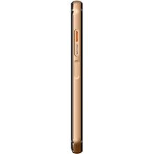 Смартфон DOOGEE S30 16 Gb (Gold)