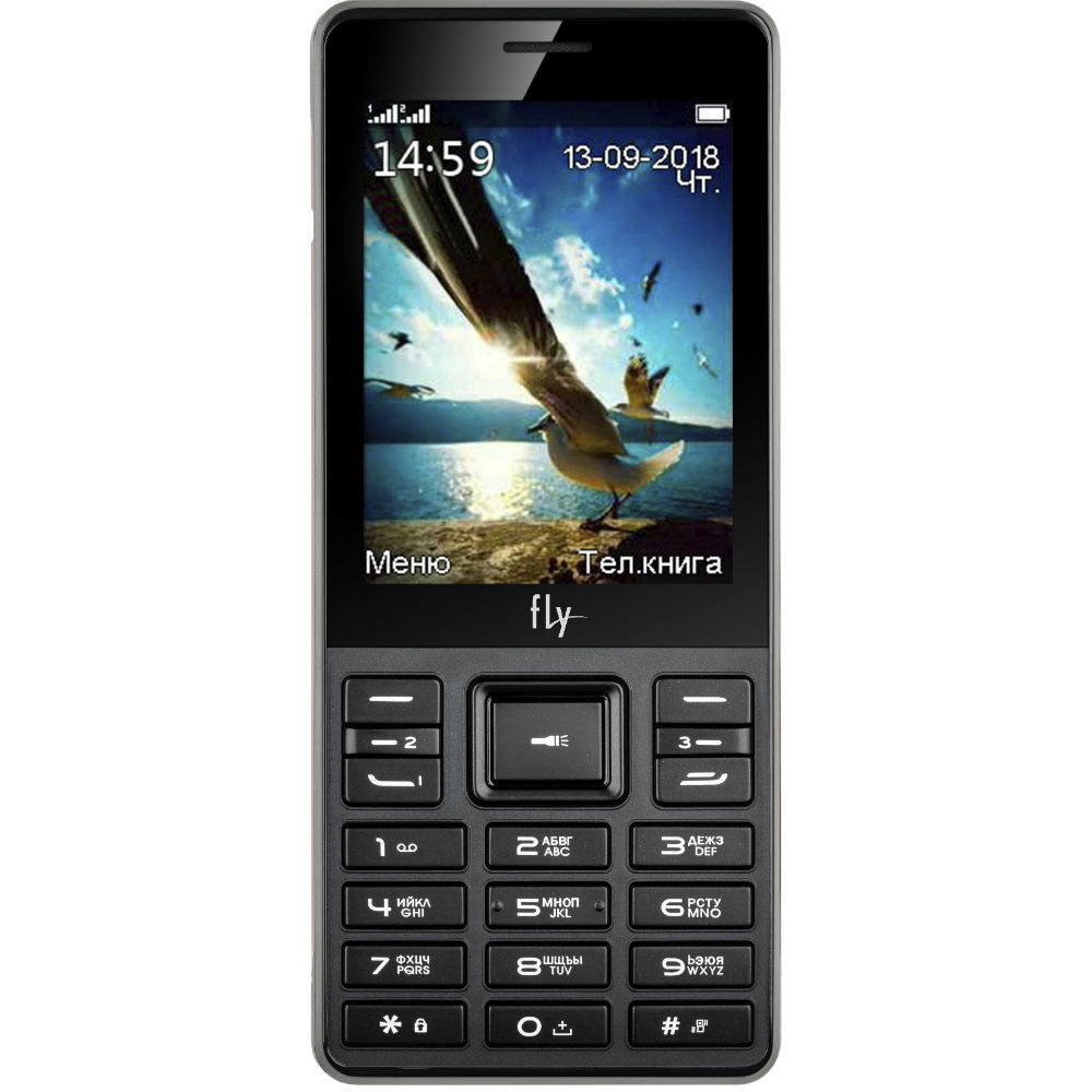 Мобильный телефон FLY TS114 Triple Sim