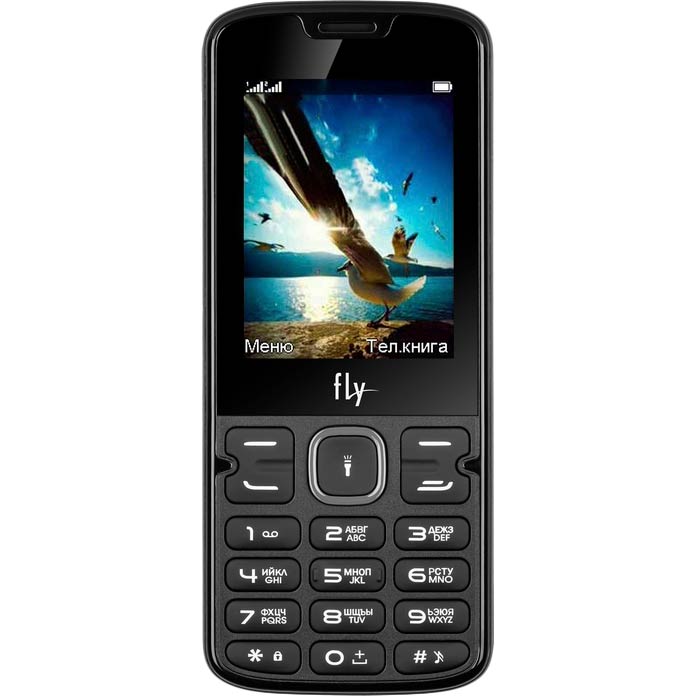 

Мобильный телефон FLY FF250 Dual Sim Black (4610015099782), FF250 (black)