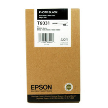 Картридж EPSON C13T603100 light black