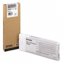 Картридж EPSON C13T603900 light black