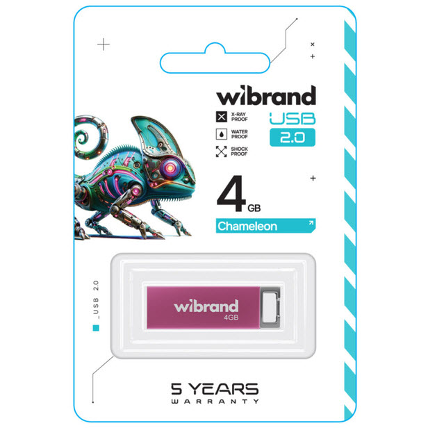 Флеш-драйв WIBRAND Chameleon USB 2.0 4Gb Pink (WI2.0/CH4U6P) Конструкция монолит