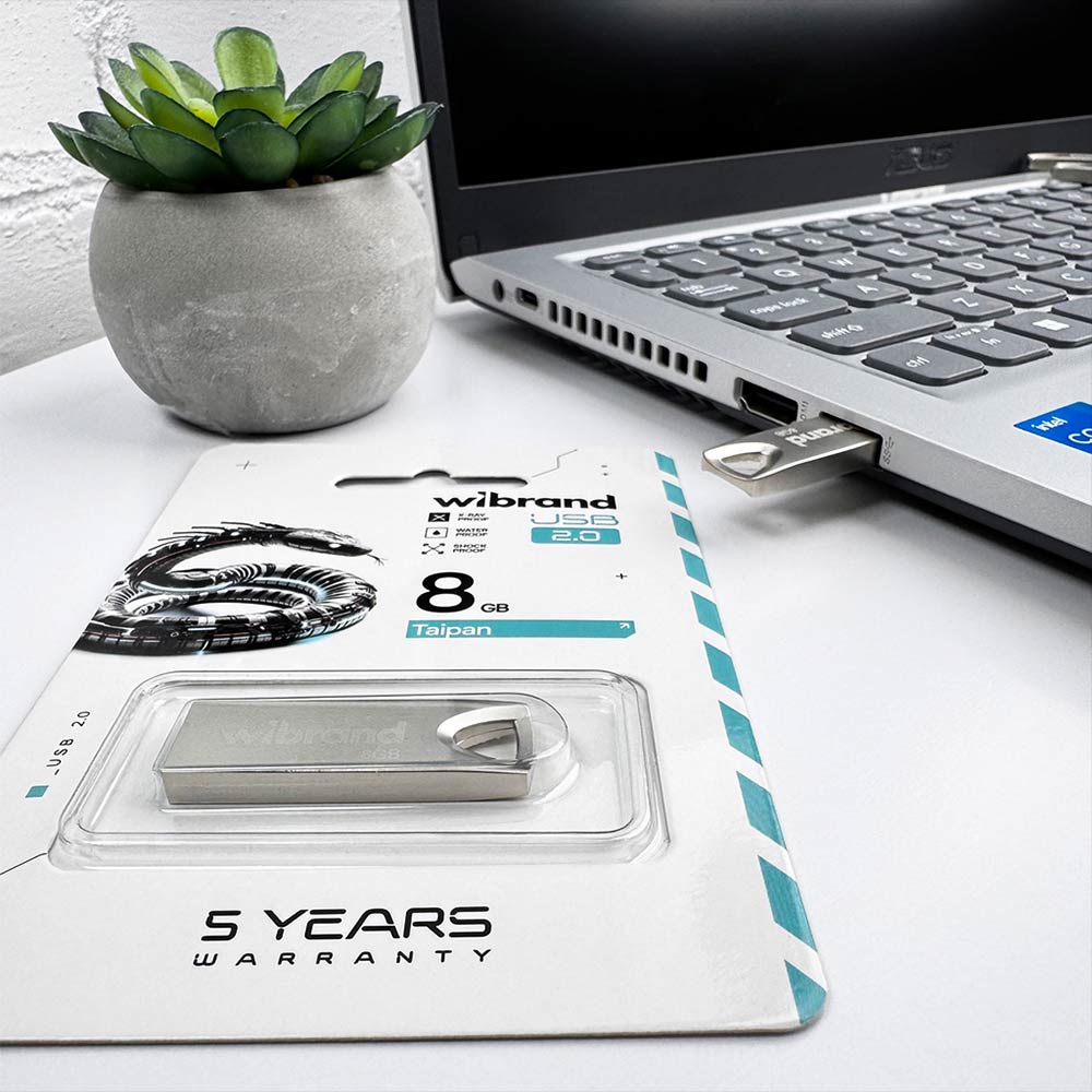 Внешний вид Флеш-драйв WIBRAND Taipan 8Gb Silver (WI2.0/TA8U2S)