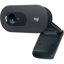 Web-камера LOGITECH C505 BLACK (L960-001364)