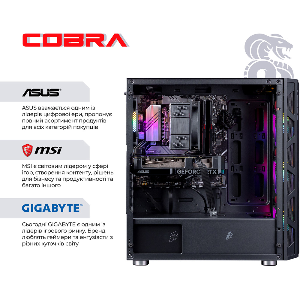 Внешний вид Компьютер COBRA Gaming (I144F.32.S10.47S.19133)