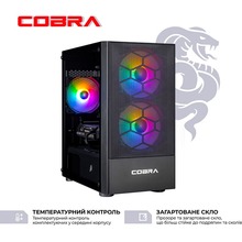 Компьютер COBRA Advanced (I114F.16.S1.36.19748)