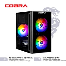 Компьютер COBRA Advanced (I121F.32.S5.96XT.25166W)