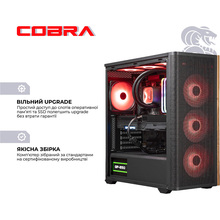 Компьютер COBRA Gaming (I147KF.32.S2.97XT.25549W)