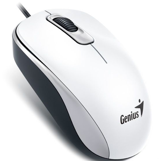 

Мышь GENIUS DX-110 USB White (31010116102), DX-110