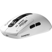 Мышь GAMEPRO Genesis Winner (GM079W)