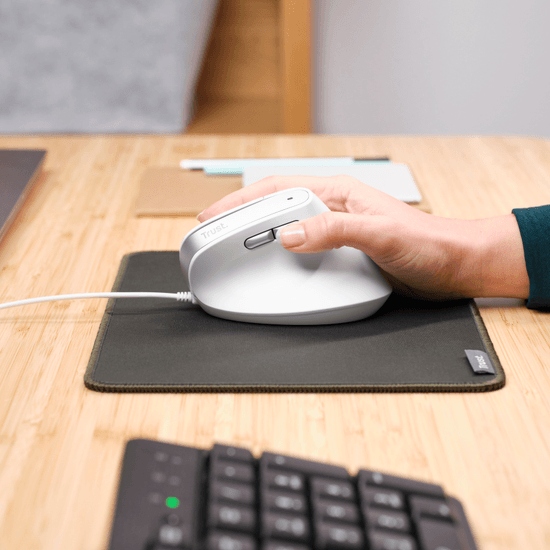 В Фокстрот Мышь TRUST Bayo 2 Ergonomic White (25397)