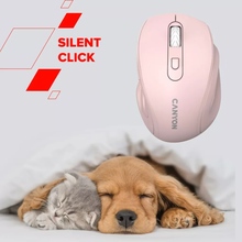 Миша CANYON 20 Wireless Silent Pink (CNE-CMSW20P)