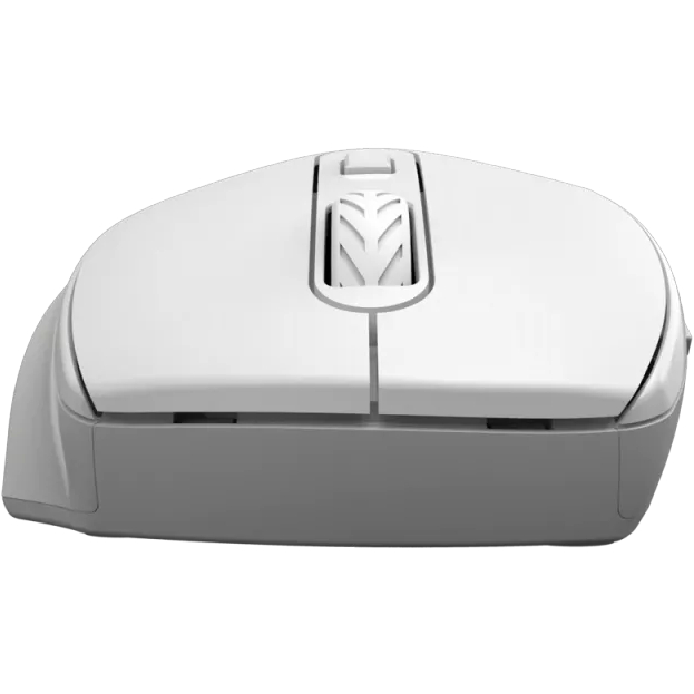 Миша CANYON 20 Wireless Silent White (CNE-CMSW20W) Тип сенсора оптичний