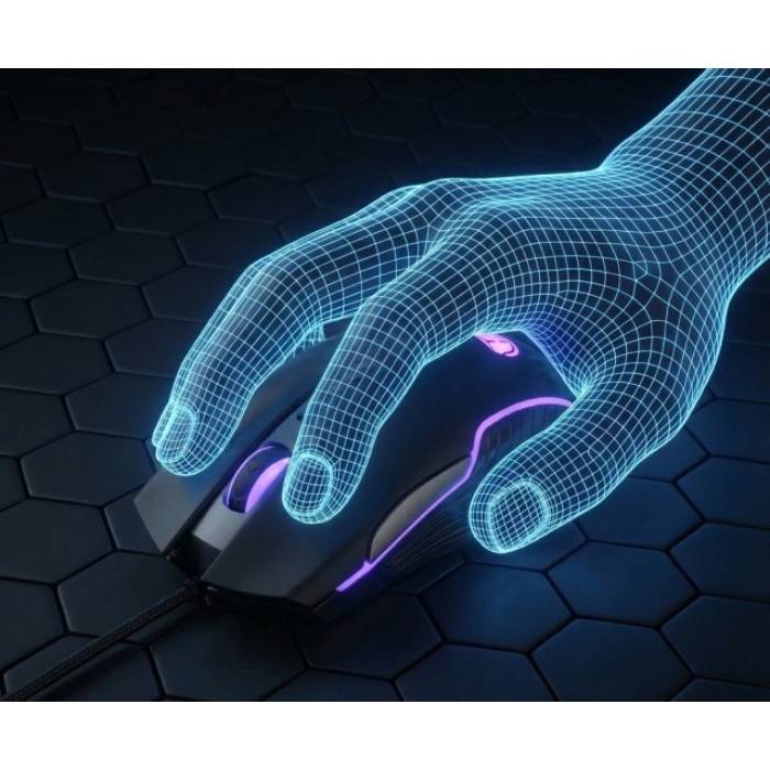 Фото Мышь HOLMER M-03GS Black/Silver