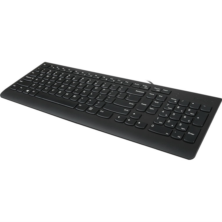 Клавіатура LENOVO 300 USB Keyboard Russia (GX30M39684) Комплектація клавіатура