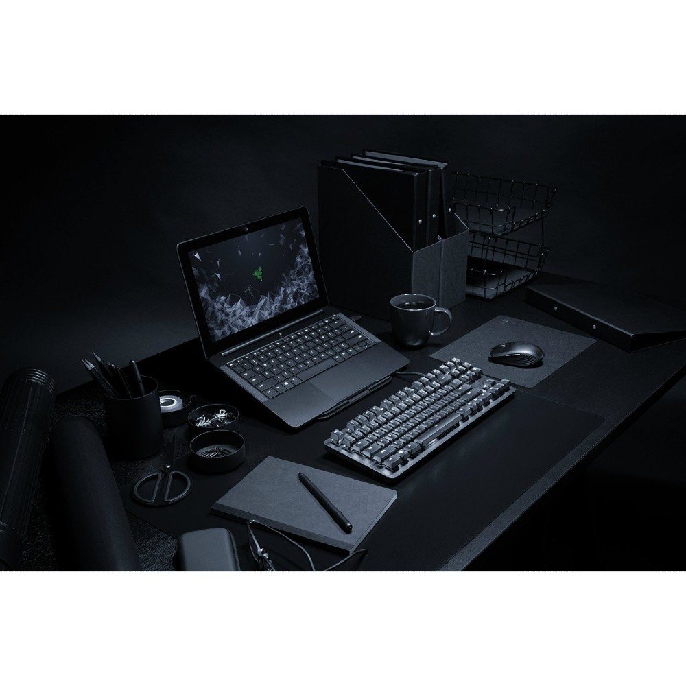 Замовити Клавіатура RAZER BlackWidow Lite (RZ03-02640100-R3M1)