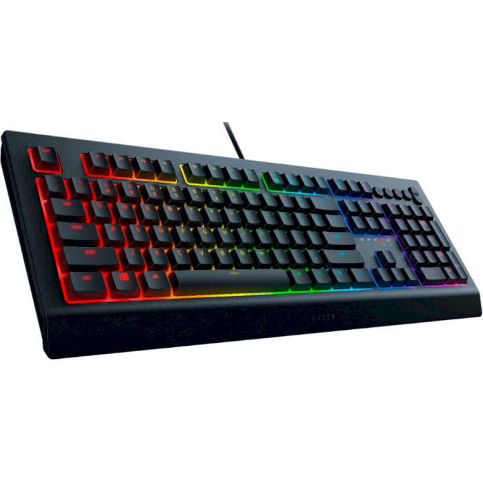 Клавиатура RAZER Cynosa V2 RU (RZ03-03400700-R3R1) Комплектация клавиатура