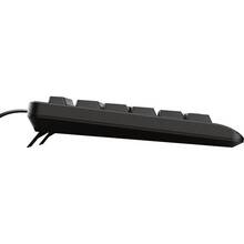 Клавиатура TRUST Primo Keyboard Ru Black (24147)