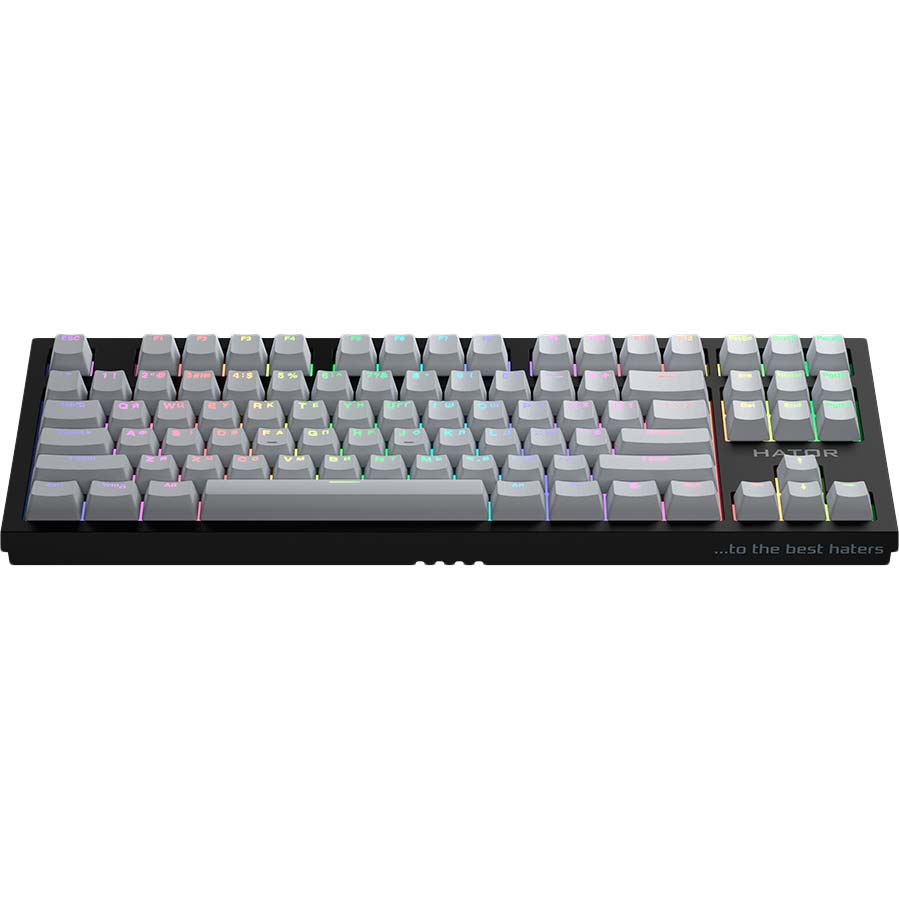 Клавіатура Hator Skyfall TKL PRO Wireless Black (HTK-663) Комплектація клавіатура