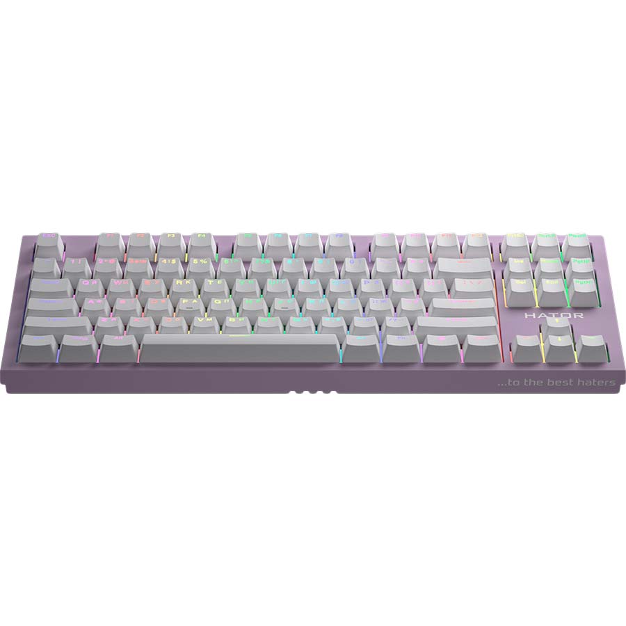 Клавіатура Hator Skyfall TKL PRO Wireless Lilac (HTK-669) Комплектація клавіатура