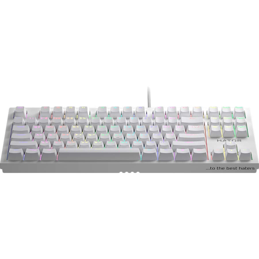Клавиатура Hator Skyfall TKL PRO White (HTK-656) Комплектация клавиатура