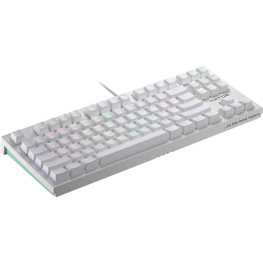 Клавиатура Hator Skyfall TKL PRO White (HTK-656) Класс игровая