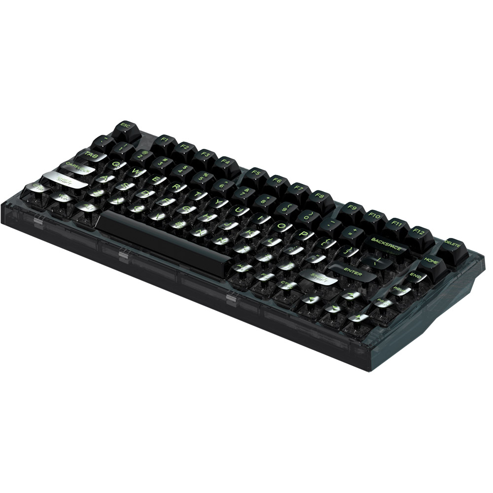 Клавиатура FL ESPORTS Q75 SAM Black Transparent Body Dark Ice keycap Kailh MX Cool Mint WL Three-Mode (Q75SAM-5774)