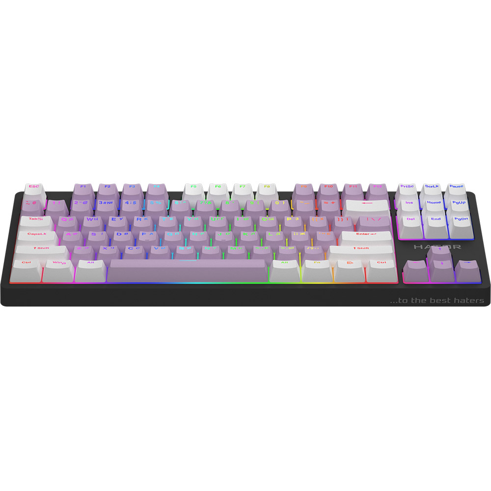 Клавіатура HATOR Rockfall 2 Mecha Signature Edition (HTK-520-BLW) Комплектація клавіатура
