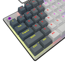 Клавиатура LORGAR Azar 514TKL Linear Dream Switch White (LRG-GK514TKL-WH-UA) Клавиатура LORGAR Azar 514TKL Linear Dream Switch White (LRG-GK514TKL-WH-UA)