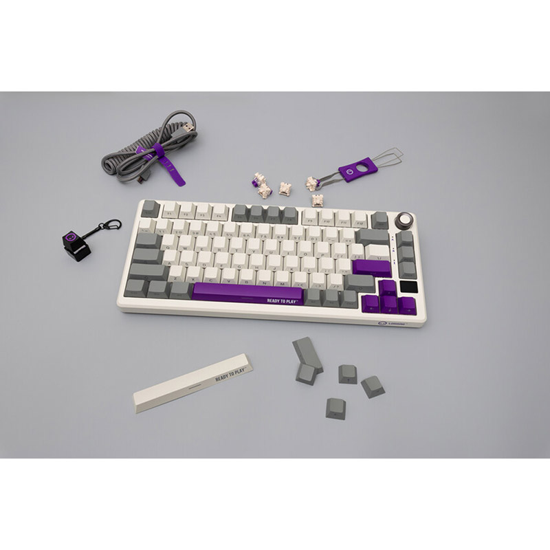 Фото 22 Клавиатура LORGAR KBP7075W Wireless Gaming Mechanical Pro Beige (LRG-KBP7075W-RT-US)