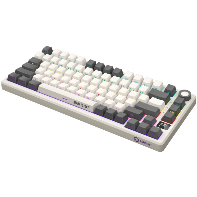 Клавиатура LORGAR KBP7075W Wireless Gaming Mechanical Pro Beige (LRG-KBP7075W-RT-US) Комплектация клавиатура