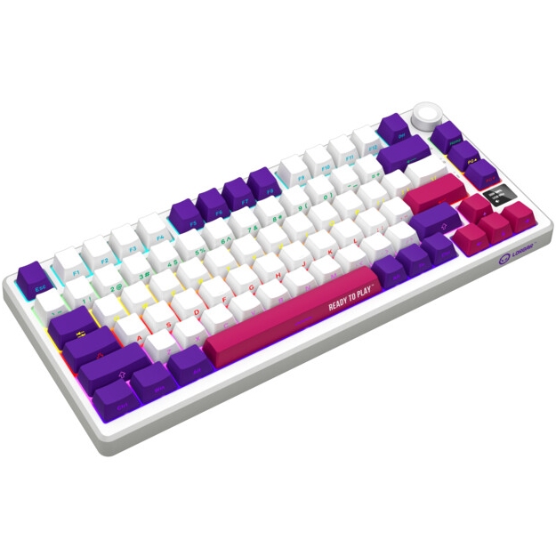Клавіатура LORGAR KBP7075W Wireless Gaming Mechanical Pro White (LRG-KBP7075W-WH-US) Комплектація посібник зі швидкого старту, щітка, брелок, підставка під чашку, 2 грілки для рук, сумка для перенесення, 6 змінних кейкапів, 5 запасних перемикачів, пулер для свитків/кейкапів; знімний кручений кабель