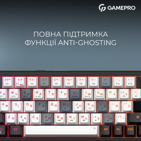 В інтернет магазині Клавіатура GAMEPRO Asgard Valhalla 65% RGB Black/White (MK210B Pro)