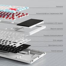 Клавиатура AJAZZ AKP815 Red Switches White/Blue/Orange (AKP815-R-WBO)