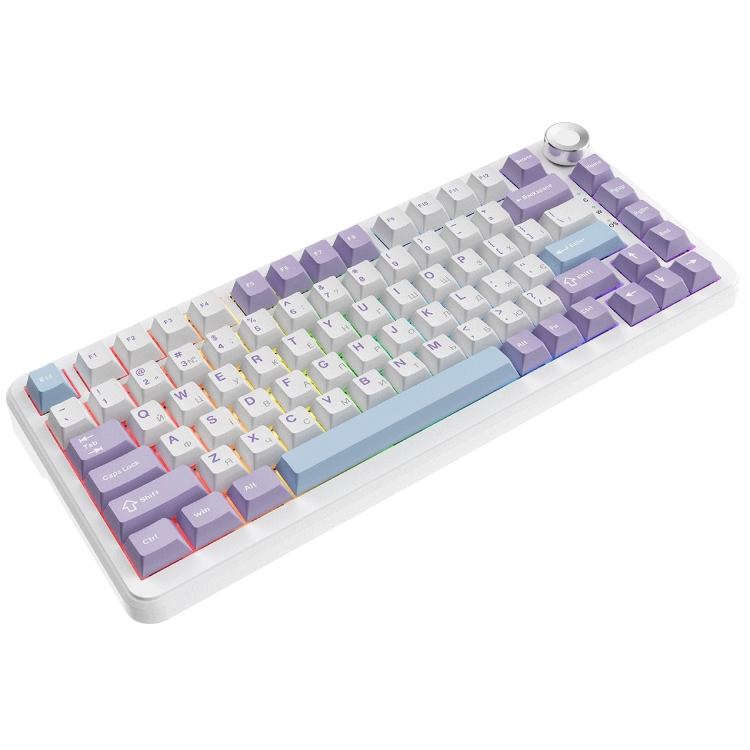 Клавиатура AJAZZ AK820 MAX Magnetic Switches Purple/White/Blue (AK820MAX-WM-PWB) Дополнительно общий ход: 3.5 мм; сила нажатия - 40 г; Anti-Ghosting: NKRO Gasket mount (система звукоизоляции); смазанные стабилизаторы