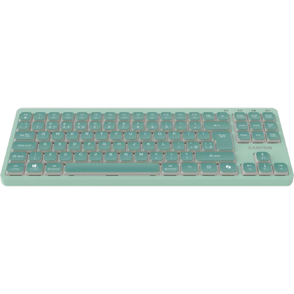 Клавиатура CANYON OnType 10 TKL Mechanical Silent Backlight Green (CNS-HKB10GR) Комплектация клавиатура