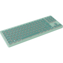 Клавиатура CANYON OnType 10 TKL Mechanical Silent Backlight Green (CNS-HKB10GR)
