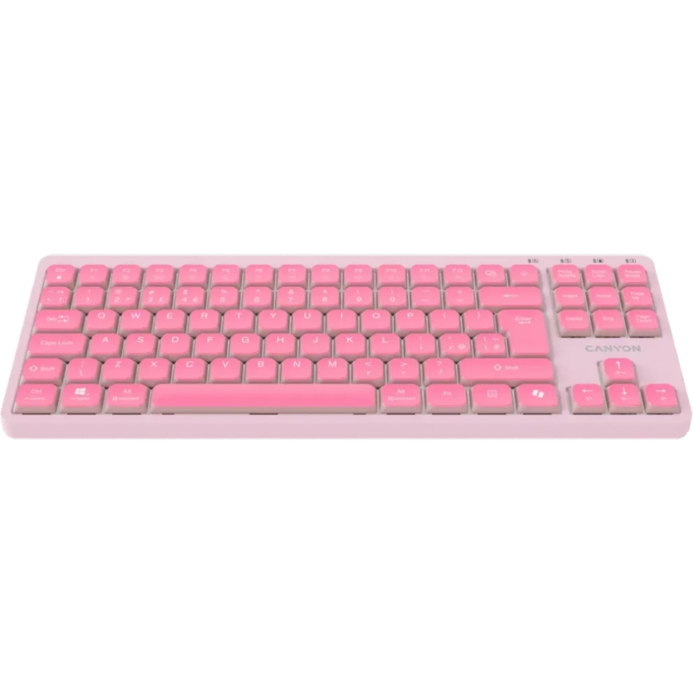 Клавиатура CANYON OnType 10 TKL Mechanical Silent Backlight Pink (CNS-HKB10P) Комплектация клавиатура