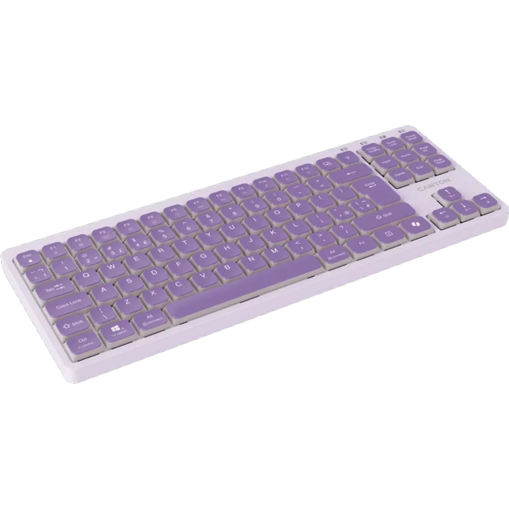 Клавіатура CANYON OnType 10 TKL Mechanical Silent Backlight Violet (CNS-HKB10V) Клас мультимедійна