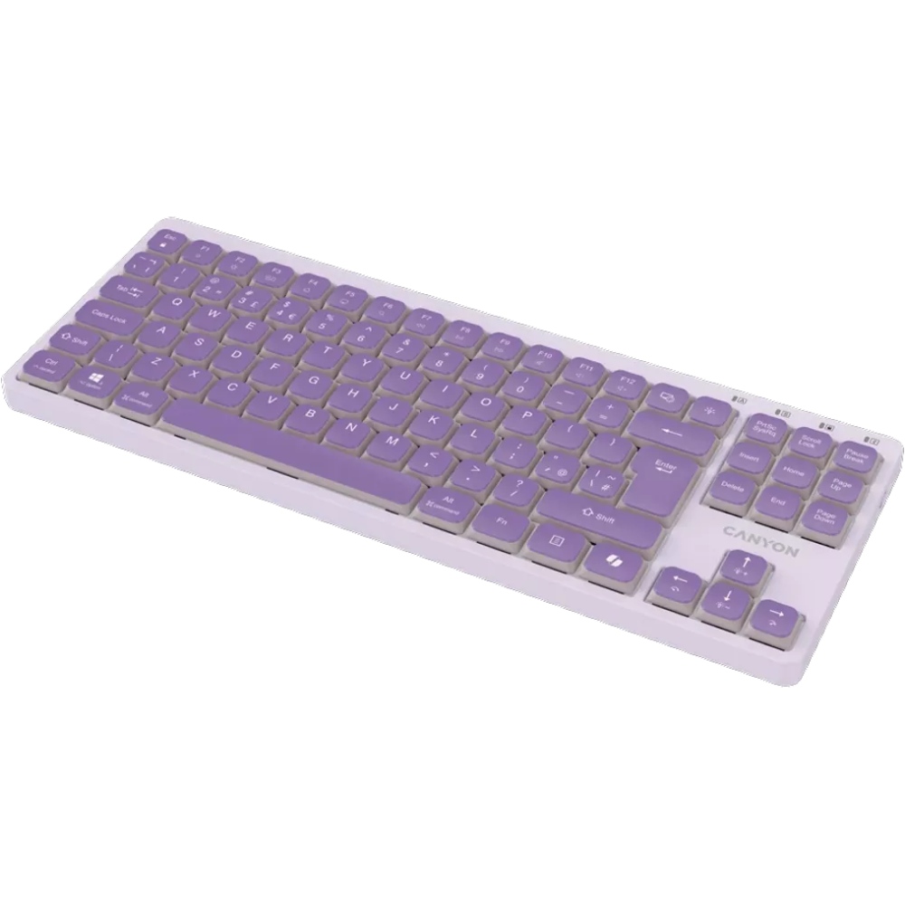 Клавіатура CANYON OnType 10 TKL Mechanical Silent Backlight Violet (CNS-HKB10V) Конструкція механічна