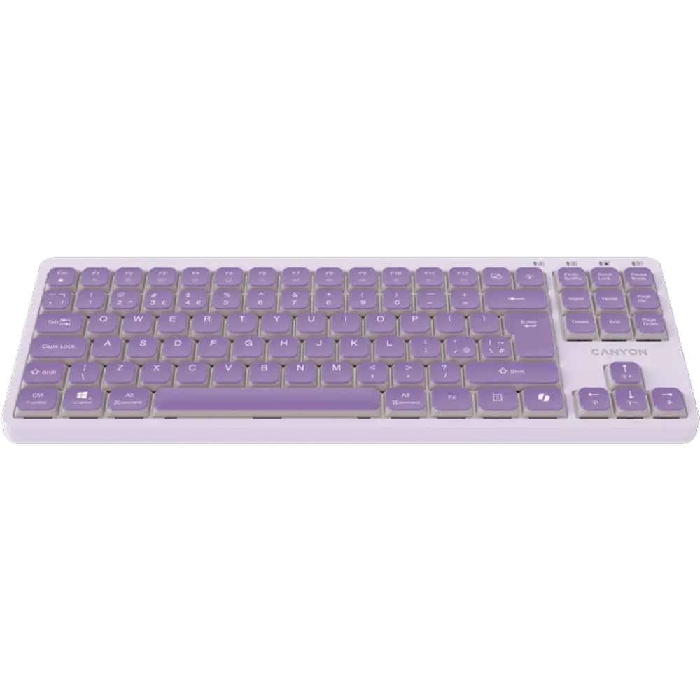 Клавіатура CANYON OnType 10 TKL Mechanical Silent Backlight Violet (CNS-HKB10V) Комплектація клавіатура