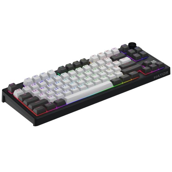 Клавиатура HATOR Skyfall 80 PRO Wireless Grey/Black (HTK4180UA) Комплектация клавиатура