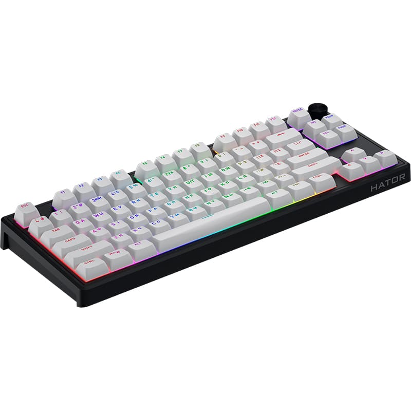 Клавиатура HATOR Skyfall 80 MAG ULTRA 8K Black/White (HTK1880UA) Комплектация клавиатура