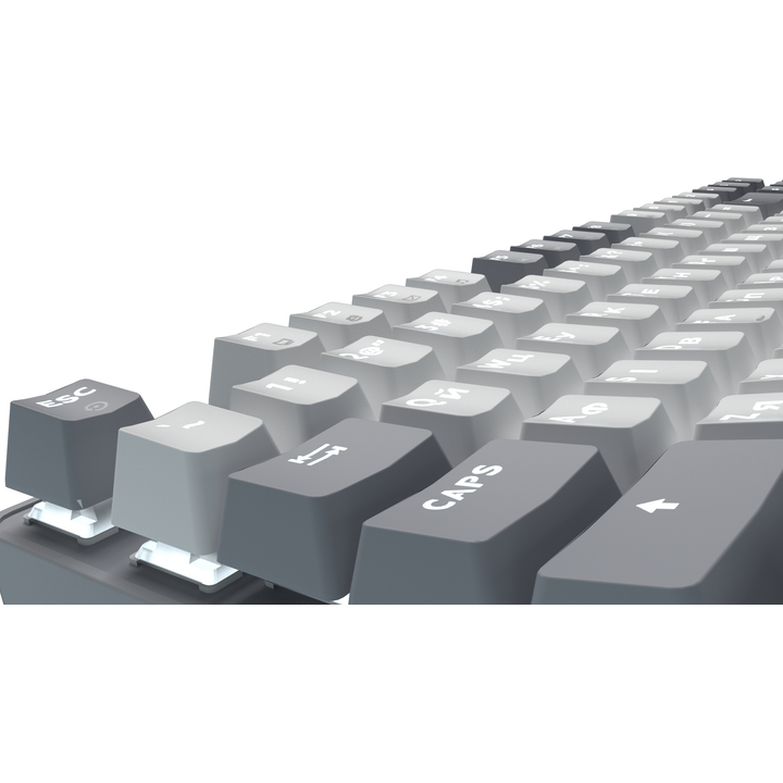 Клдавиатура GAMEPRO Genesis Metallic MK110G Outemu Red Swithes Gray Класс игровая