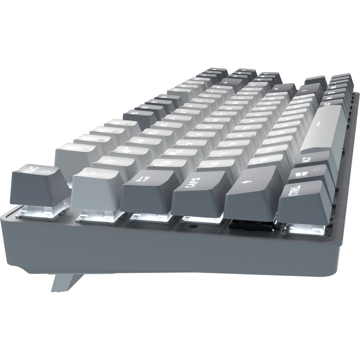 Клдавиатура GAMEPRO Genesis Metallic MK110G Outemu Red Swithes Gray Комплектация клавиатура