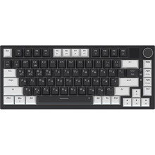 Клавиатура GAMEPRO Asgard Valhalla MK160W Pro Rainy Switch Black/White (MK160B-D-Pro)