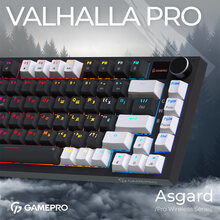 Клавиатура GAMEPRO Asgard Valhalla MK160W Pro Rainy Switch Black/White (MK160B-D-Pro)